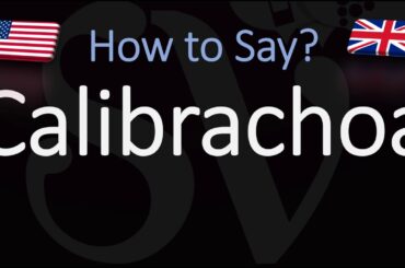 How to Pronounce Calibrachoa? (CORRECTLY)