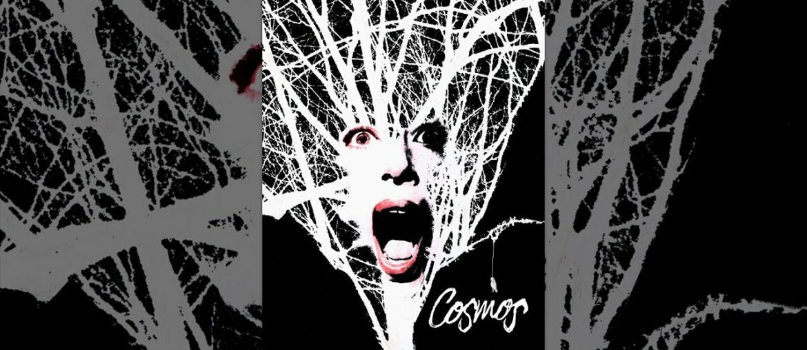 Cosmos Cosmos