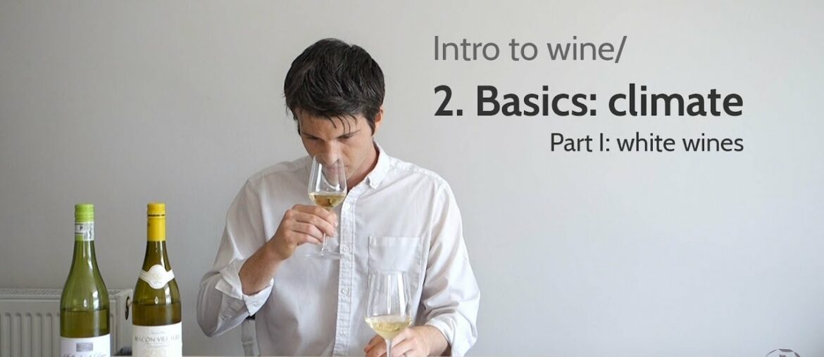 Intro to wine/ 2. Climate (white wines) | Wine with Andy