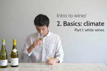 Intro to wine/ 2. Climate (white wines) | Wine with Andy