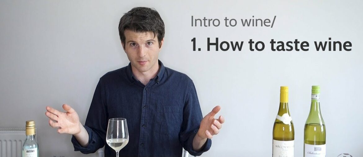 Intro to wine/ 1. How to taste wine | Wine with Andy Intro to wine/ 1. How to taste wine | Wine with Andy