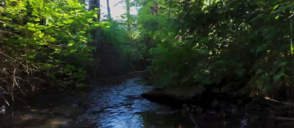 19810 NE Davis Road Brush Prairie, WA 19810 NE Davis Road Brush Prairie, WA