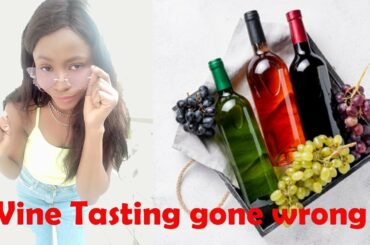My French experience: WINE TASTING GONE BAD, FRENCH WINE TIPS ETC#idyytv