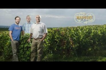 Wine Berserkers Zoom Livestream with Benoit Marguet of Champagne Marguet