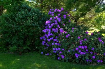 23 Old Wesbury Road | Old Westbury, NY