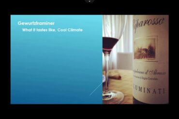 Wine Basics Volume 1 Gewurtztraminer