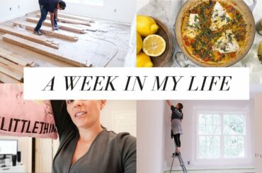 VLOG: HOME RENOVATIONS, BAD PRETTY LITTLE THING REVIEW, Z SUPPLY INSTAGRAM TAKEOVER
