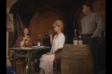 Absolutely Fabulous Wine Tasting! HD