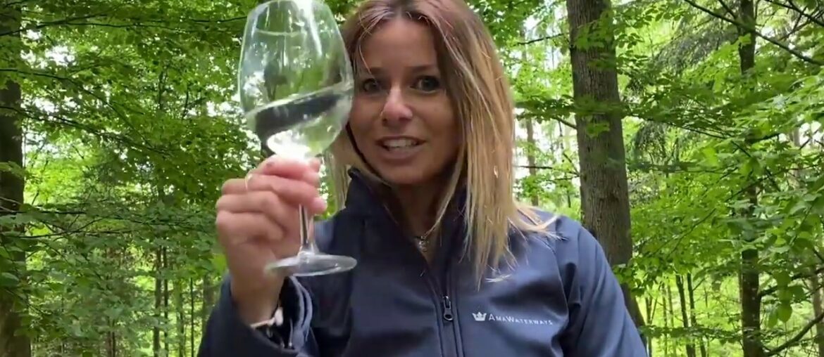 Why an AmaWaterways Celebration of Wine Cruise may be right for you!