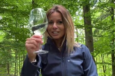 Why an AmaWaterways Celebration of Wine Cruise may be right for you!