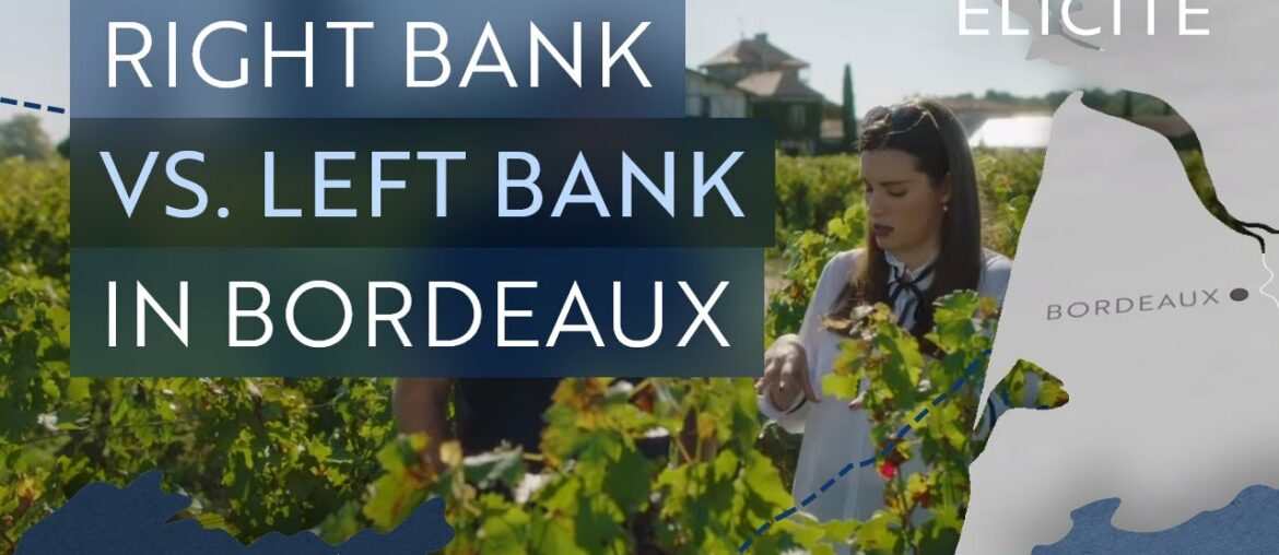 The Basics Of The Bordeaux Wine Region The Basics Of The Bordeaux Wine Region