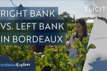 The Basics Of The Bordeaux Wine Region