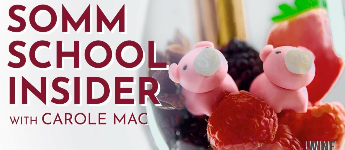 Ooh La La! French Wine By Region | Somm School Insider with Carole Mac (E4)