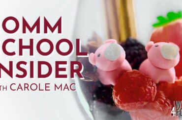 Ooh La La! French Wine By Region | Somm School Insider with Carole Mac (E4)