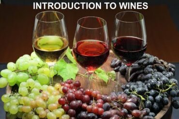Introduction to wines | Stirrer and Straws