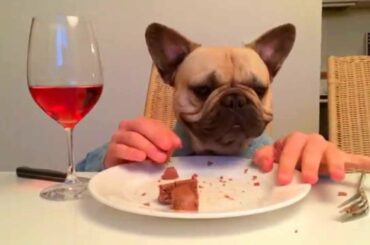 Wining and dining dog! Funny!