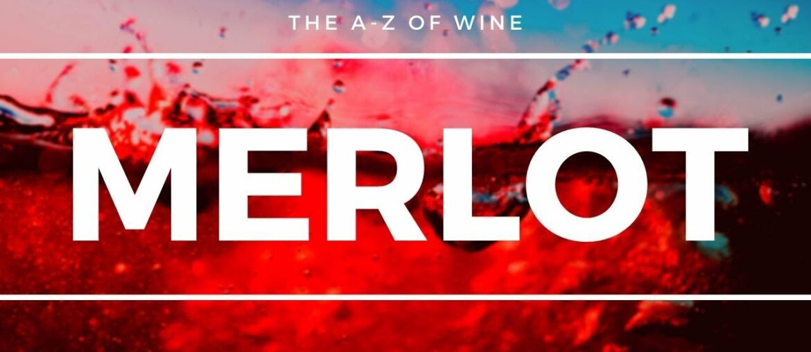 What is MERLOT – Everything you need to know about this popular Global grape. What is MERLOT - Everything you need to know about this popular Global grape.