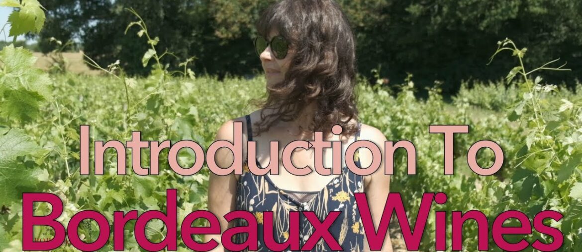 Introduction to Bordeaux wines Introduction to Bordeaux wines