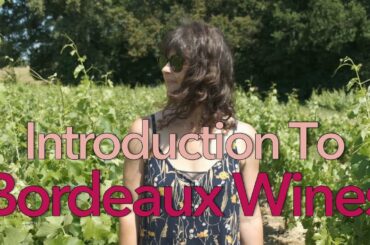 Introduction to Bordeaux wines