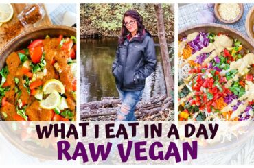 WHAT I EAT IN A DAY • NO-FAT FRENCH DRESSING RECIPE • RAW FOOD VEGAN