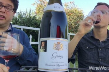 2010 Domaine Pigneret Givry Rouge Burgundy, France Invoer Imports French Red Wine