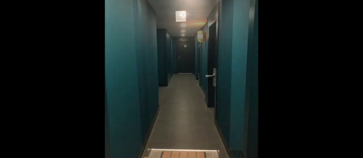 Before and After of my First Apartment in France!