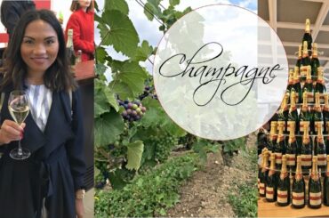 A DAY TRIP TO CHAMPAGNE | HOW TO HAVE THE BEST EXPERIENCE