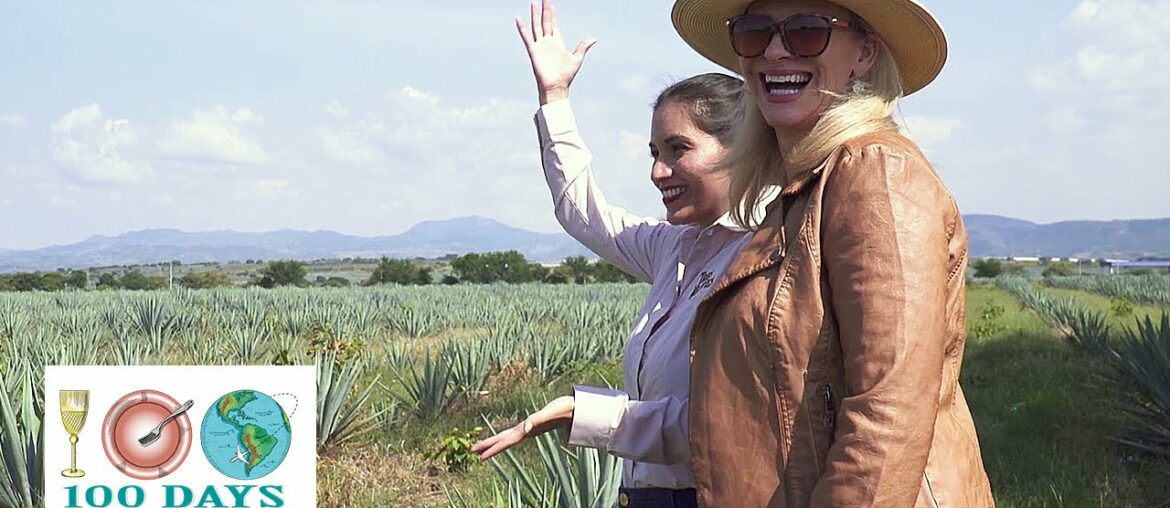 Wine and Spirits Around The Globe | 100 Days, Drinks, Dishes & Destinations | KQED