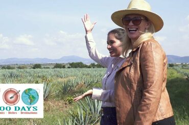 Wine and Spirits Around The Globe | 100 Days, Drinks, Dishes & Destinations | KQED