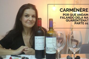 Degustando Carménère - PARTE 01 | Marcia Anholeti