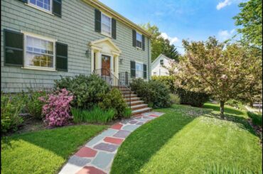 66 Elizabeth Road - Max Dublin Team