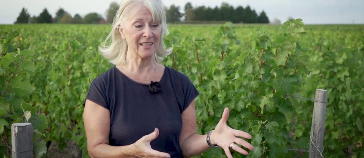David and Lynne Levin - domaine LEVIN - wines from the Loire Valley