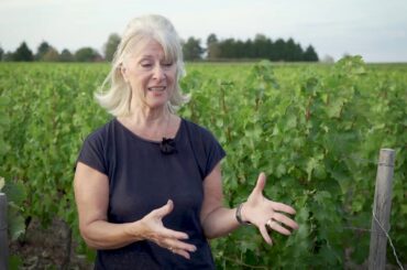 David and Lynne Levin - domaine LEVIN - wines from the Loire Valley