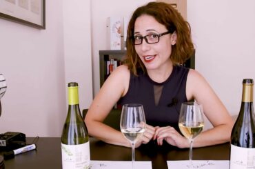 All about Blanc Fumé style Sauvignon Blanc wine