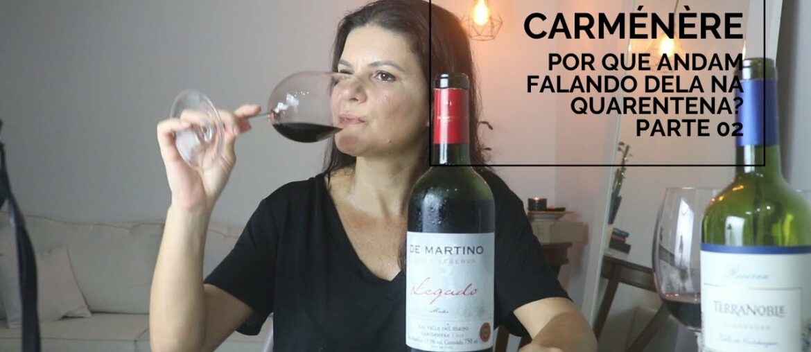 Degustando Carménère - PARTE 02| Marcia Anholeti
