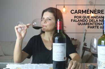 Degustando Carménère - PARTE 02| Marcia Anholeti