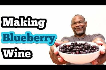 Making Blueberry Wine: 1 Gallon