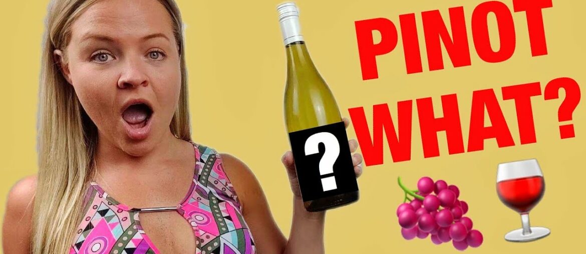 Pinot Grigio vs Pinot Gris | Best White Wine for Beginners? Pinot Grigio vs Pinot Gris | Best White Wine for Beginners?