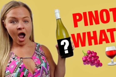 Pinot Grigio vs Pinot Gris | Best White Wine for Beginners?