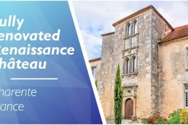 Stunning 16th-Century Chateau for sale in South-Charente with independent priory - Ref.: 111427JMI16