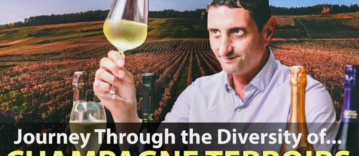 The Terroirs & Sub-Regions of Champagne The Terroirs & Sub-Regions of Champagne