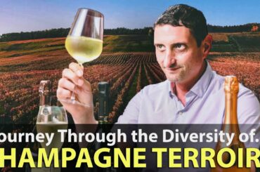 The Terroirs & Sub-Regions of Champagne