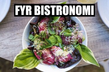 Oslo's Best Outdoor Restaurant – Fyr Bistronomi & Bar