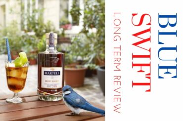 BNDY_10 - Long Term Review of Martell Blue Swift VSOP