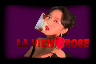 ㅣLA VIEN ROSE cover. ㅣFrance 에서 우리 Wine 한 잔 할래요?ㅣ