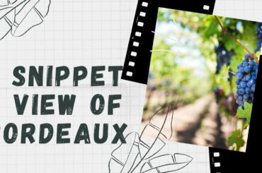 BORDEAUX, FRANCE HOLIDAY 2020