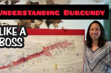 Understanding Burgundy Like a Boss!