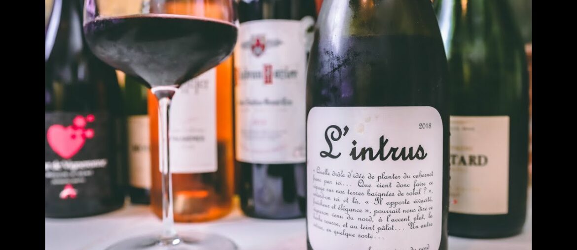 Rare Cabernet Franc from the South of France - Maison Ventenac l'Intrus Red Wine