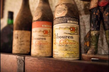 In the Vineyard: Winemaker of Clos Cibonne Provence - French Wine Education