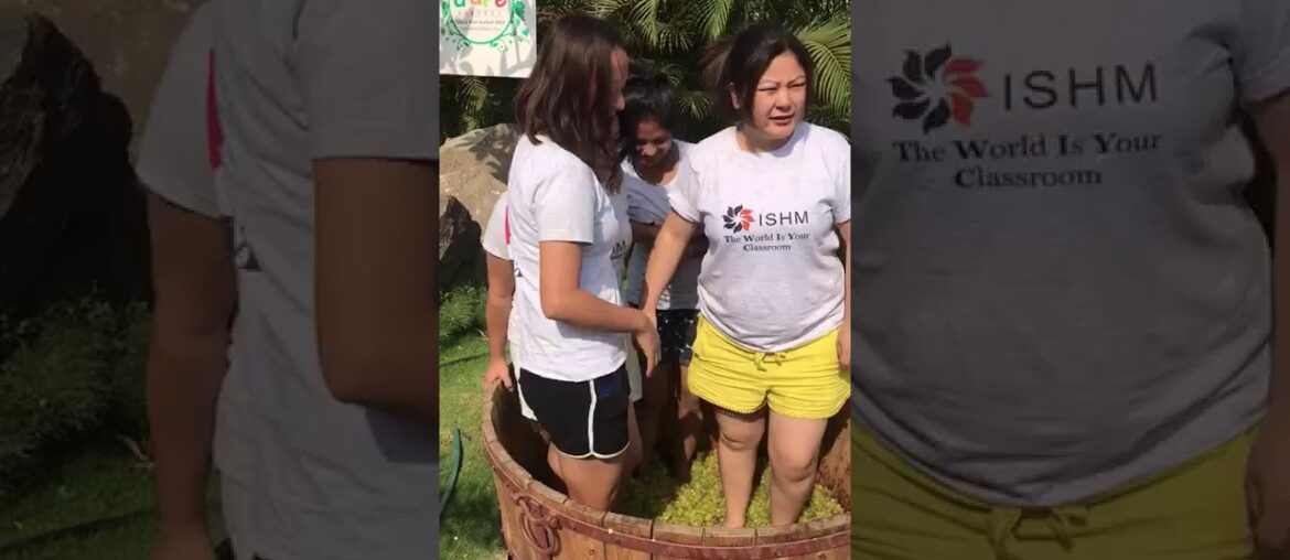 Wine Making Process - WE BRIGHT FRANCE in INDIA